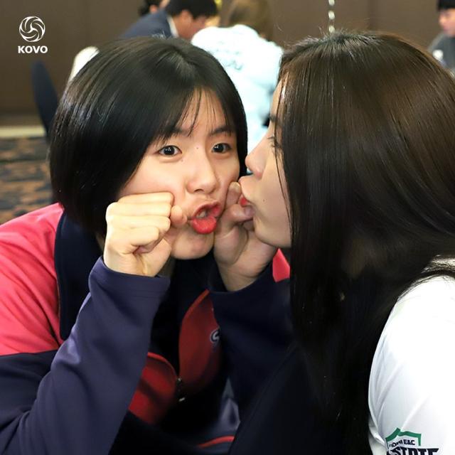 李多英李多贤是双胞胎吗,排坛美人