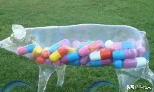 有机肥添加剂,国家对畜禽粪便有机肥的标准