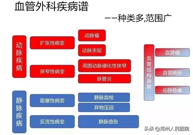 国际医学中心心血管科专家,中国顶尖血管外科团队