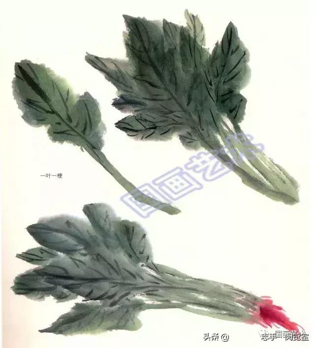 八种常见蔬菜画法,各种蔬菜画法