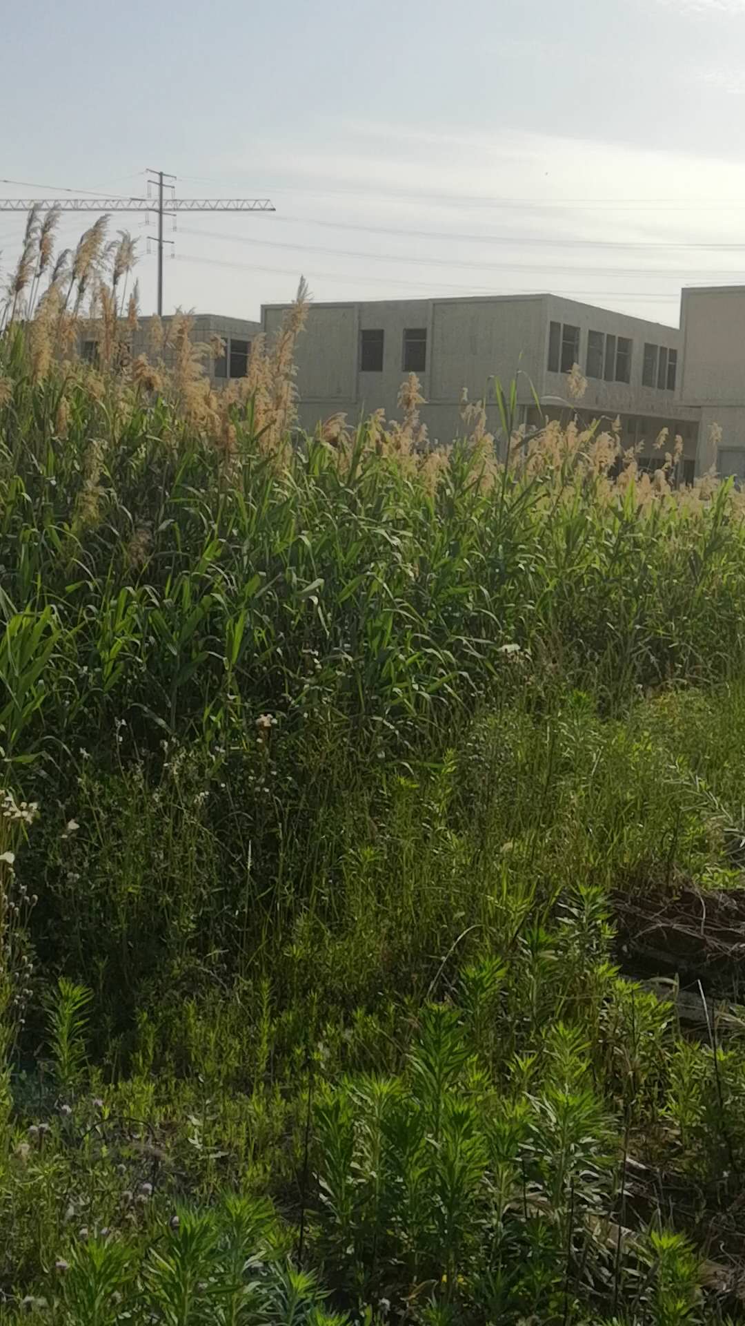 疯狂电话轰炸推销的商品建议不要买