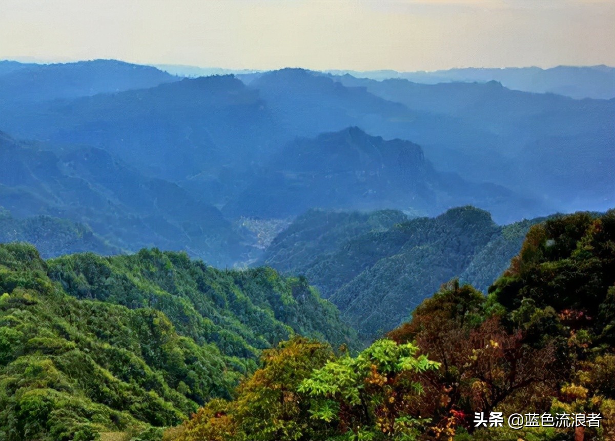 重庆金佛山元旦旅游攻略,重庆区县旅游推荐哪一个区县