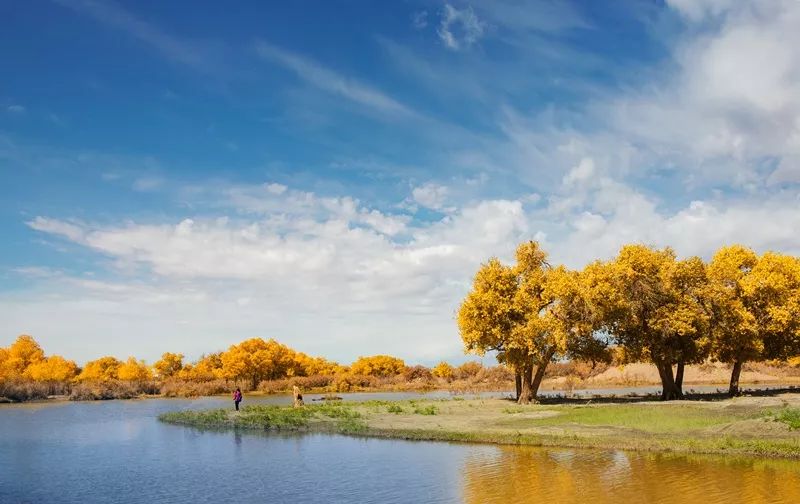 中病毒会引起男性不育吗,新冠病毒或导致不育
