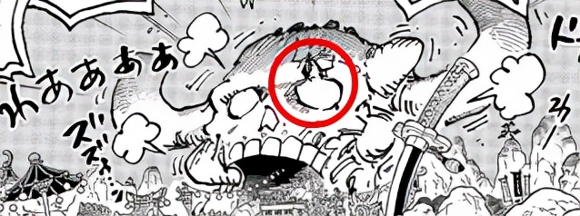 海贼王1025话,海贼王923话情报分析