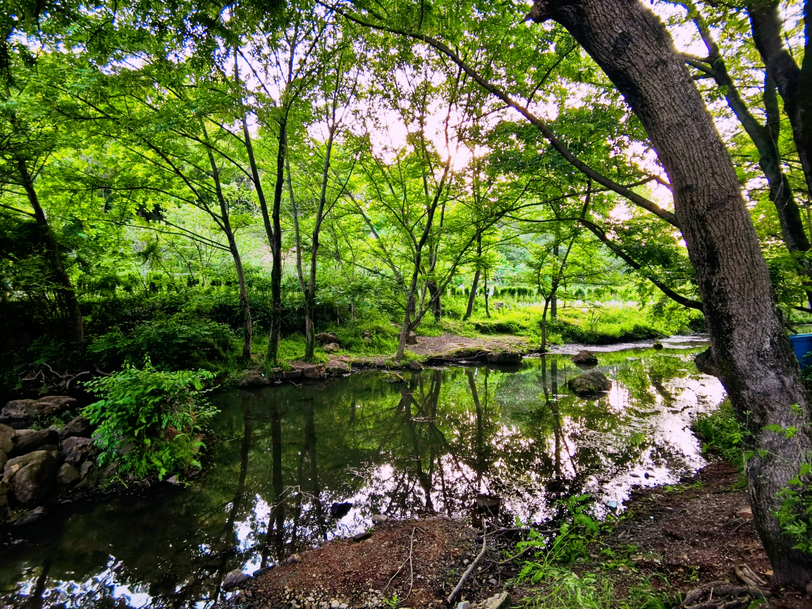 宜居城市信阳气候宜人环境优美,信阳宜居养老哪个位置最好
