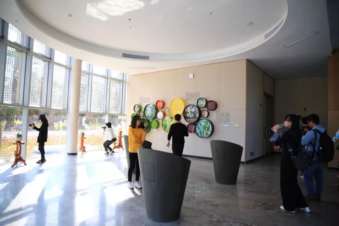 韶关最美乡村游,广东韶关乡村大自然的风景