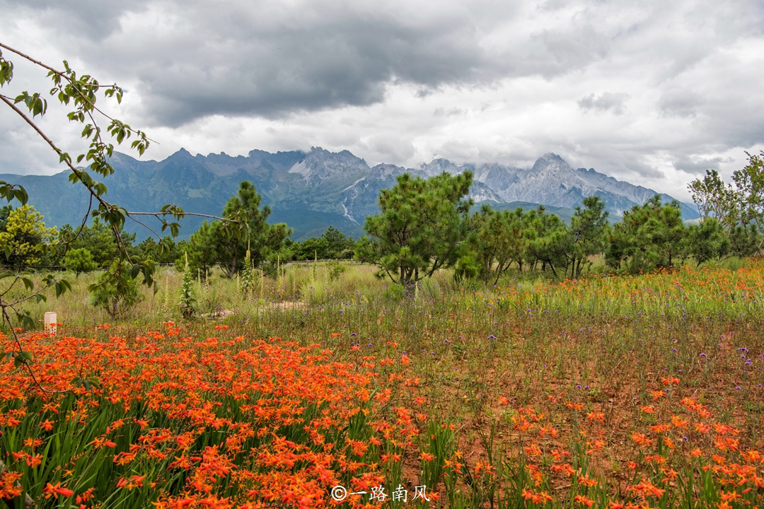 云南旅游必去的城市排名榜单,云南昆明大理哪个适合旅游