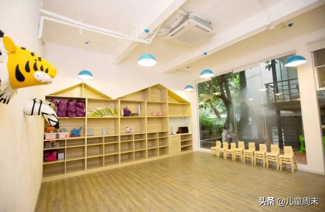 深圳市托育园,深圳育托园最新视频