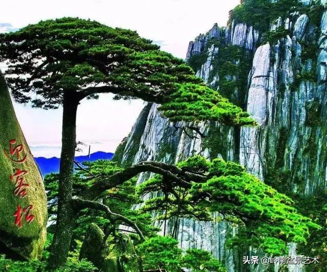 中国十大千年古寺古刹之首,中国十大千年古尸容貌复原成功