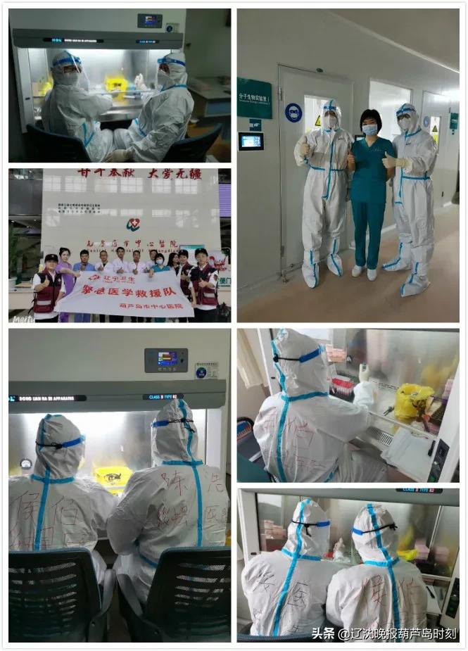 绥中县支援武汉医护人员,辽宁医护支援绥中