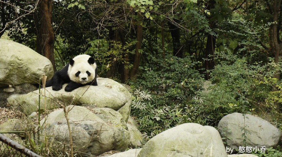 因为你们，“爱豆”的世界离我们不再远咯