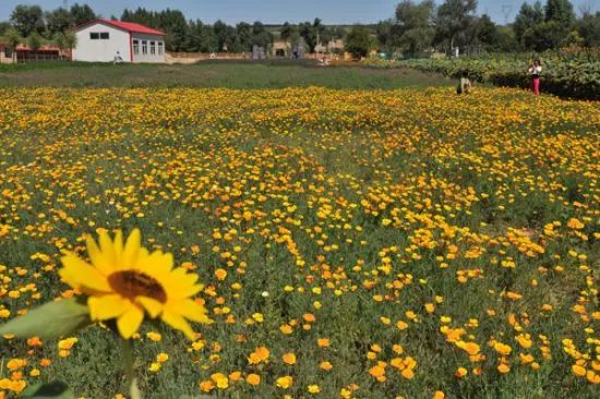 去太原旅游最佳时间,最近太原去哪里旅游比较好玩