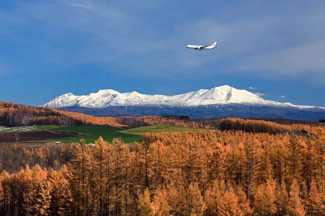 停车坐爱枫林晚风景,停车坐爱枫林晚季节