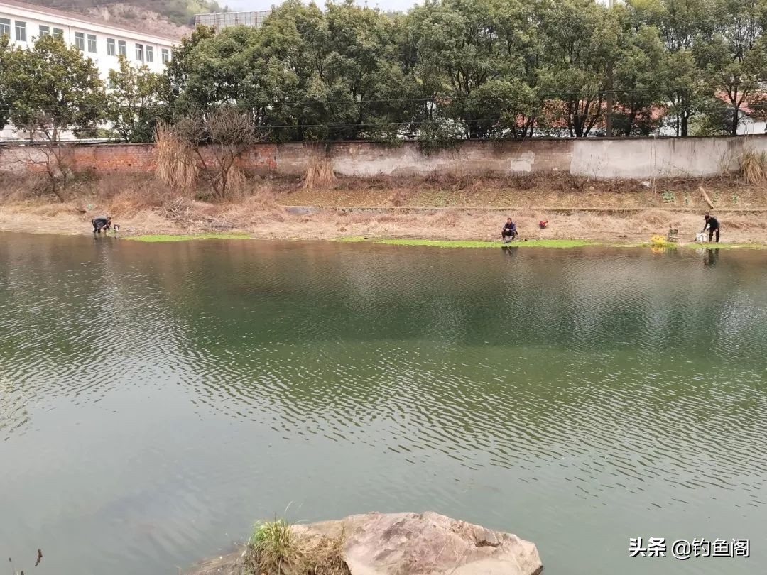 冬季钓鲫鱼是钓阴影好还是向阳好,冬季钓鱼钓顶风还是背风