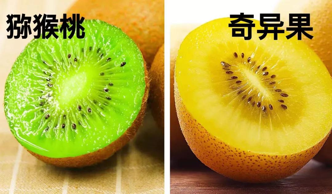 奇异果和猕猴桃葡萄的区别,猕猴桃跟奇异果营养有什么区别