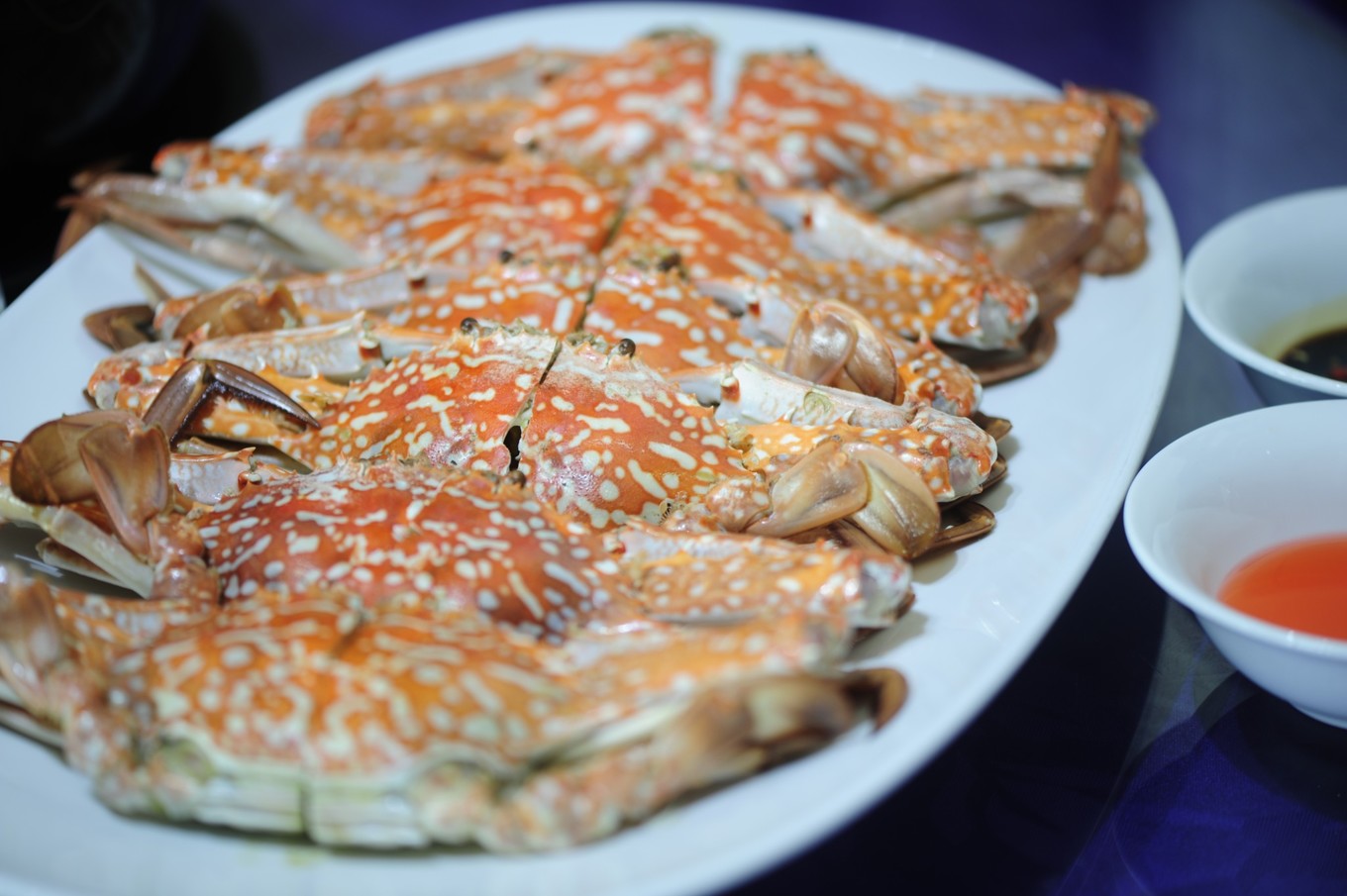 北纬43度的浪漫中国,吴川哪个海看日出最好看