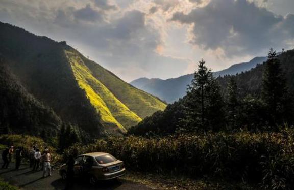 安徽省2019五个县,安徽省十大名市