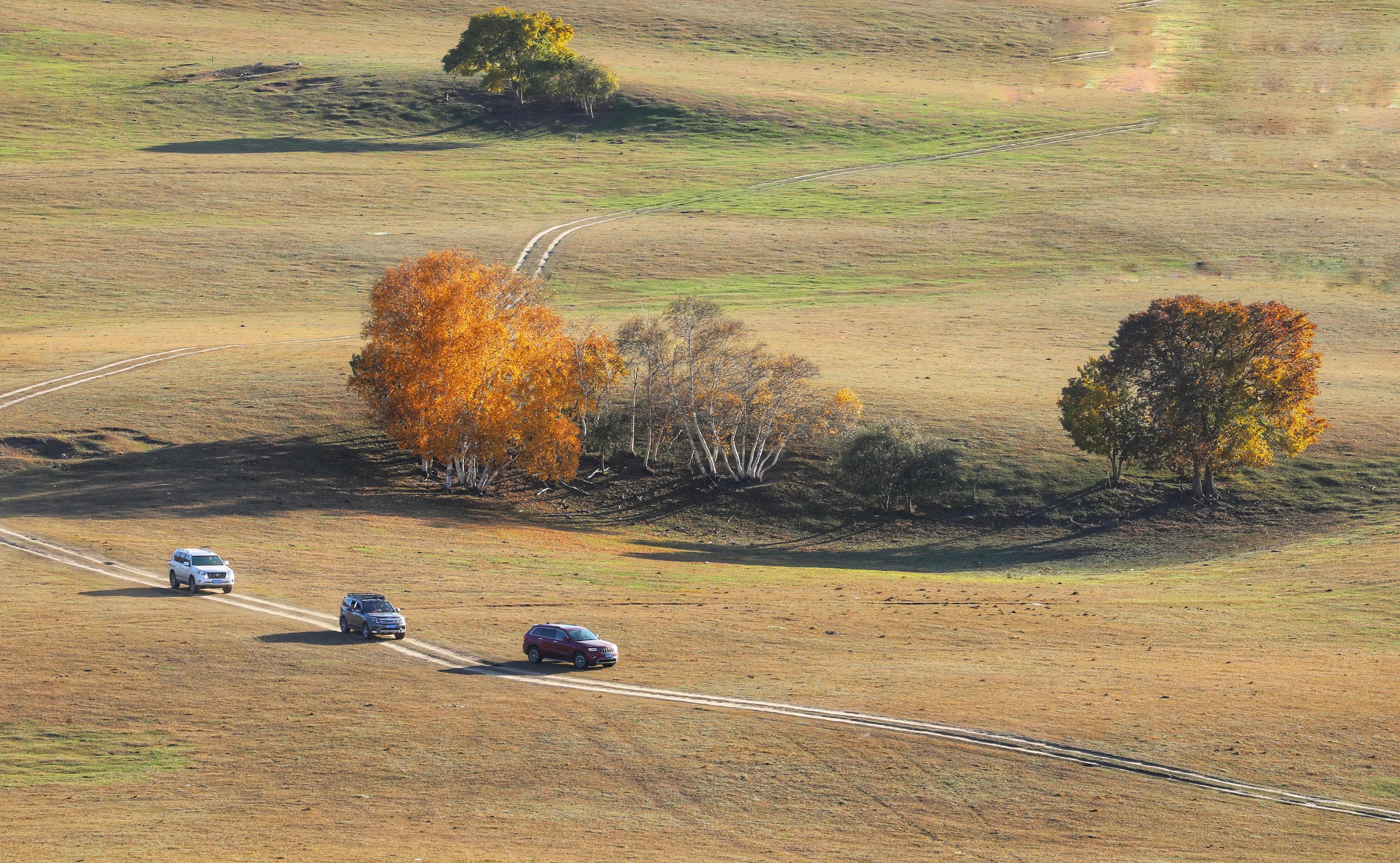 坝上秋色草原,坝上草原游记作文