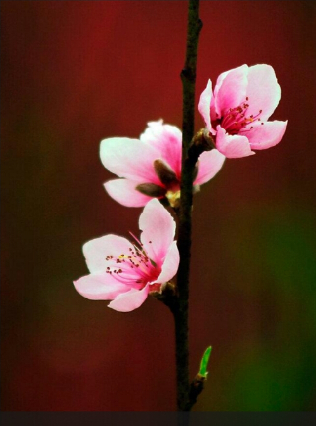 普通老百姓平常家庭怎么理财更好,普通百姓怎么理财