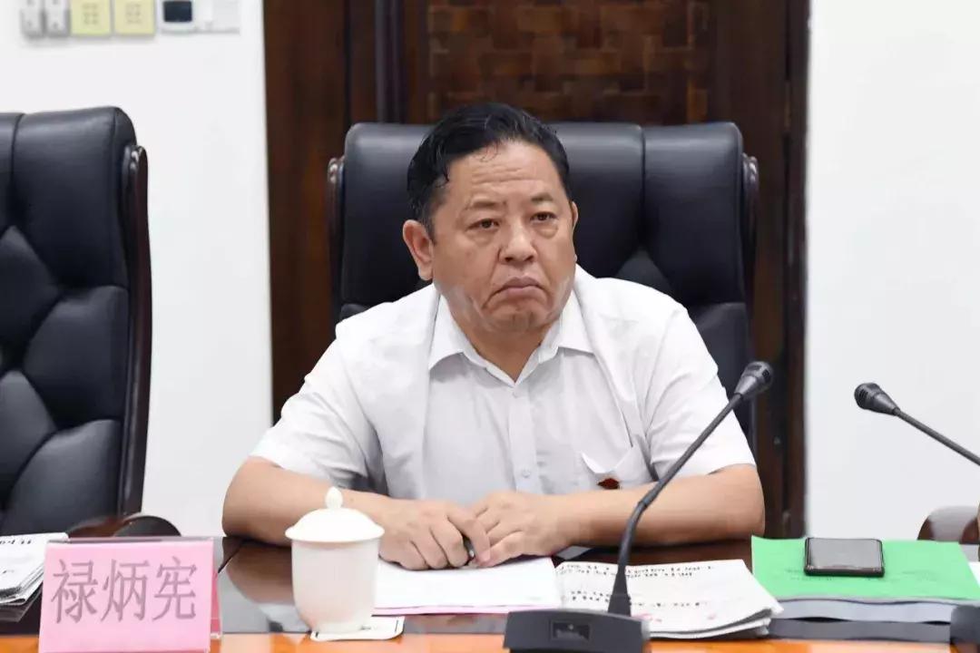 菜篮子探访,大湾区菜篮子基地