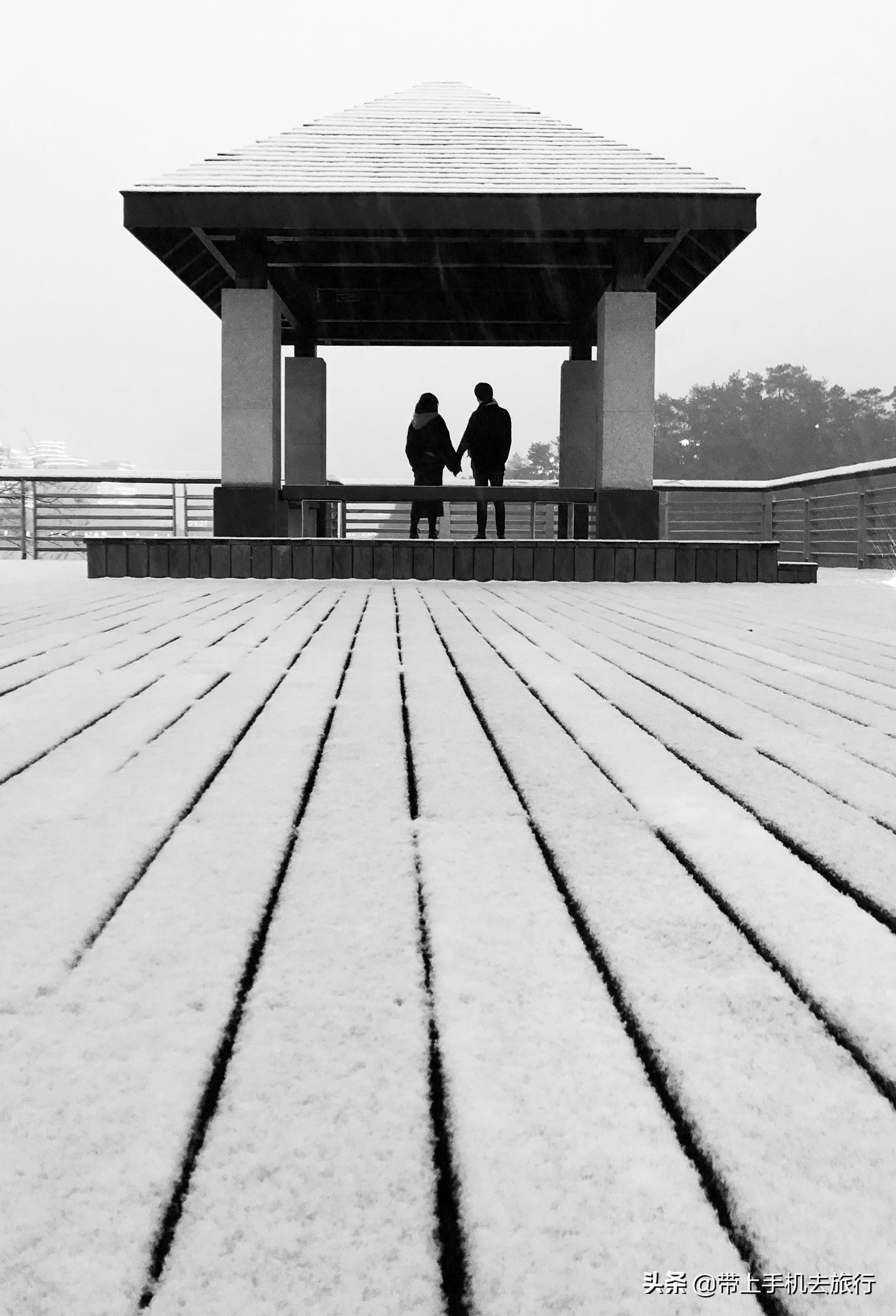 手机拍照是竖的好还是横的好,手机拍照横着和竖着的比例