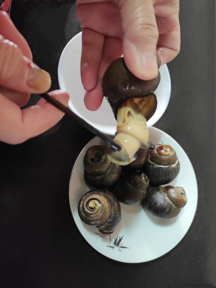 清蒸田螺做法大全家常,吃超大清蒸的田螺