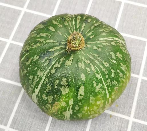 <html>
<head><title>502BadGateway</title></head>
<body>
<center><h1>502BadGateway</h1></center>
<hr><center>nginx</center>
</body>
</html>
<!--apaddingtodisableMSIEandChromefriendlyerrorpage-->
<!--apaddingtodisableMSIEandChromefriendlyerrorpage-->
<!--apaddingtodisableMSIEandChromefriendlyerrorpage-->
<!--apaddingtodisableMSIEandChromefriendlyerrorpage-->
<!--apaddingtodisableMSIEandChromefriendlyerrorpage-->
<!--apaddingtodisableMSIEandChromefriendlyerrorpage-->
