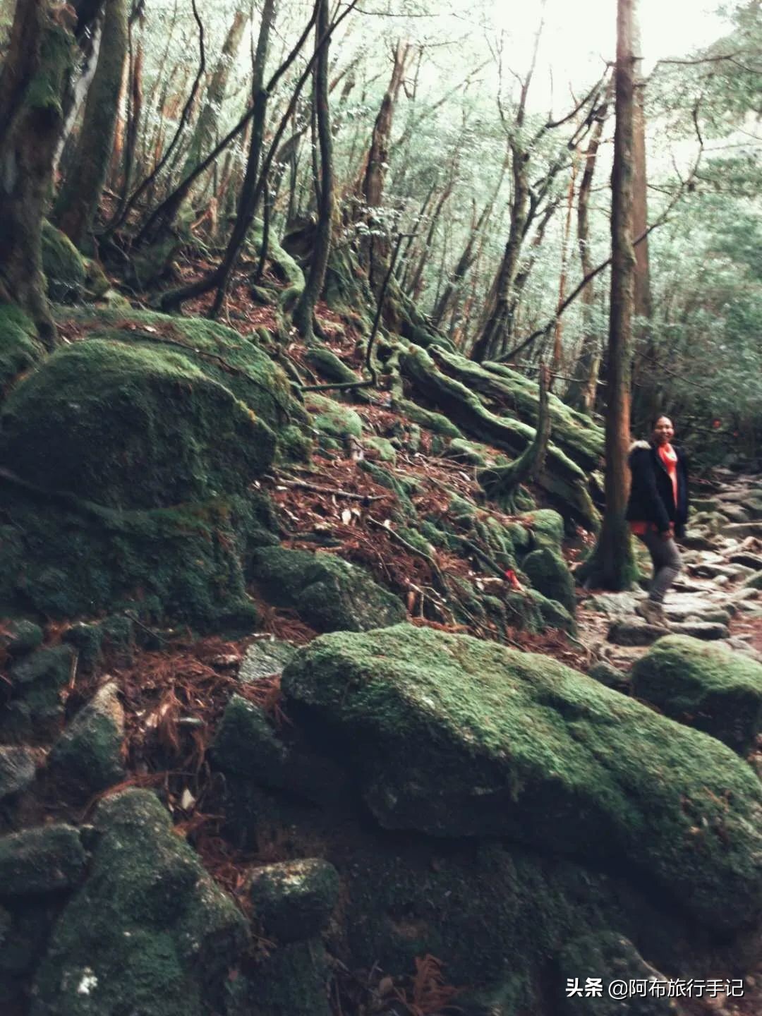 去日本才能吃过瘾的岛国本土食材，至少有8种便宜了游客
