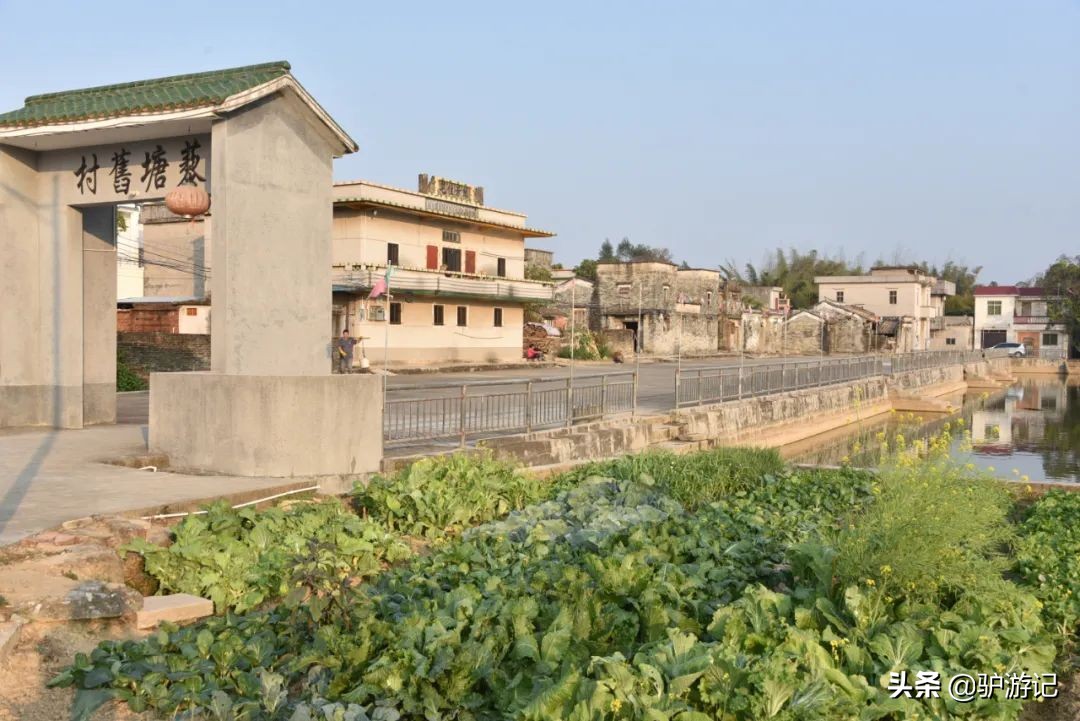 100年前通电话公交车的村庄，出了一位女中豪杰，尚存37座碉楼