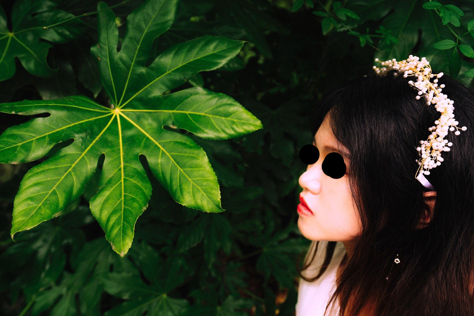 中华壮年女性！求求你们能不能别去旅游了