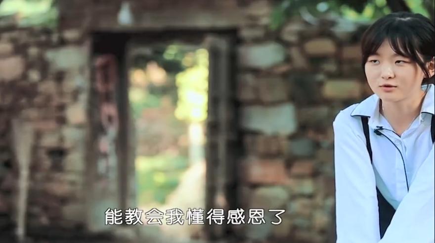 宝藏综艺第二季,宝藏综艺纪录片