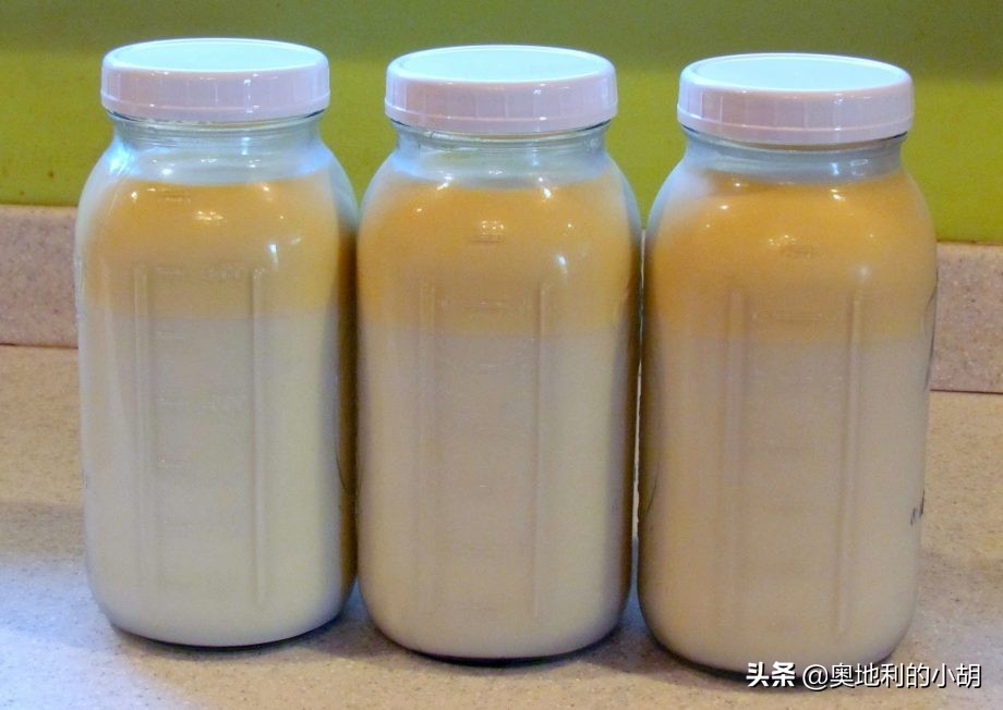 牛奶到底哪个味才是正宗的,牛奶哪种健康安全