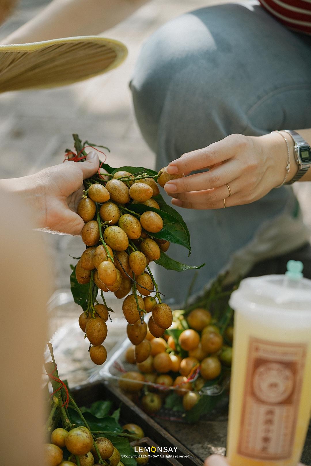 为什么黄皮火了,抖音上最火的黄皮