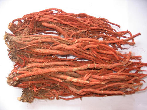 中药人参红参西洋参*党**参太子参丹参沙参苦参区别！一文收藏