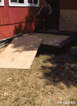 搞笑gif永远不要相信任何人,朋友圈gif背景搞笑