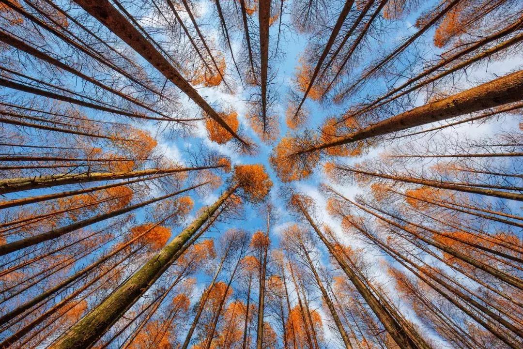 2019必去的旅行地,8月最新旅行地推荐