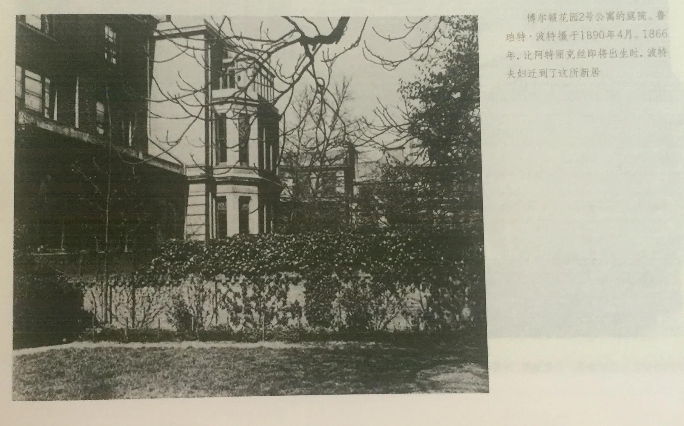 《永远的波特——彼得兔的妈妈》：揭晓彼得兔经久不衰的魅力所在