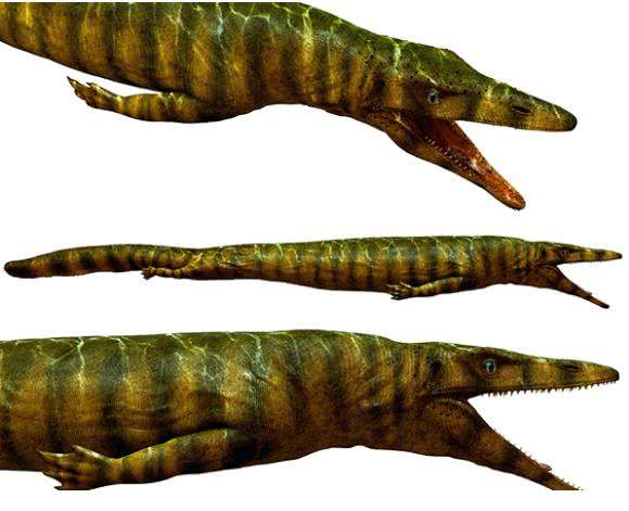 4种远古海洋里的“四大金刚”其中一种拥有绝对的力量