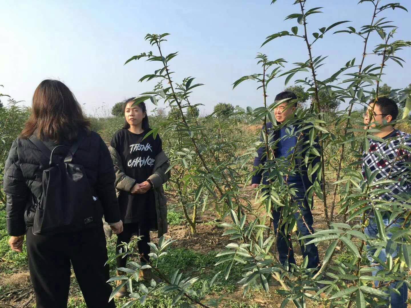 鑺辨绮掔矑楗辨弧,鑺辨棰楅楗辨弧绮掔矑椴滈
