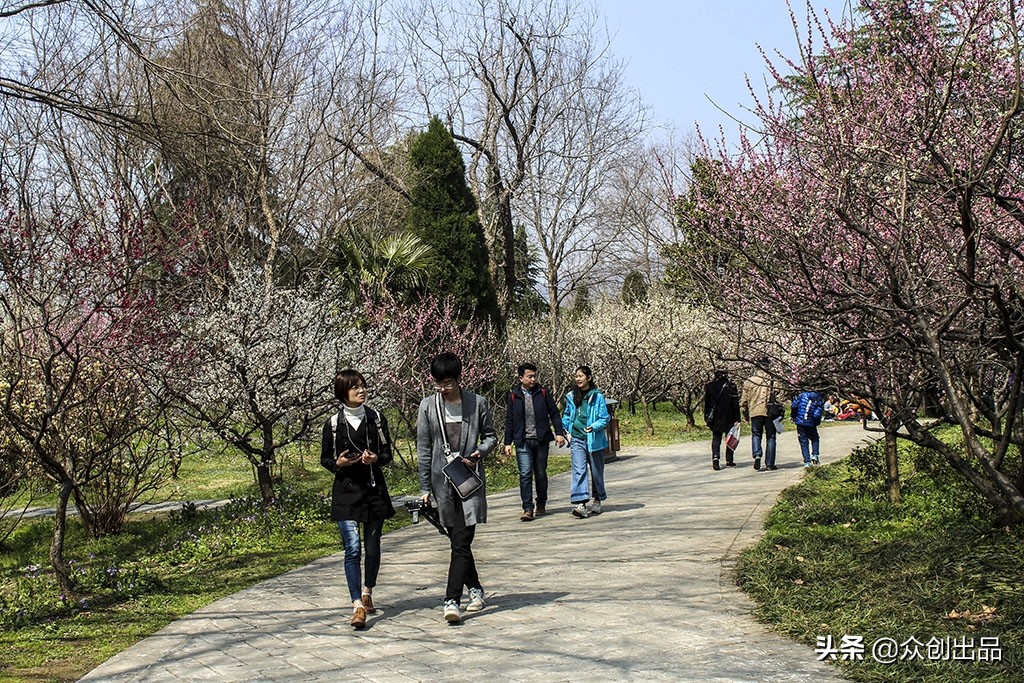 南京第一梅山,南京梅山和梅花山