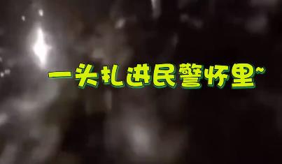 外卖龙虾段子搞笑,外卖的虾是不是都是冻虾