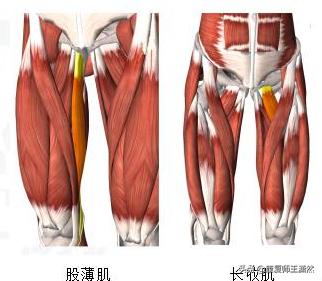 库里腹股沟拉伤,腹股沟拉伤老詹