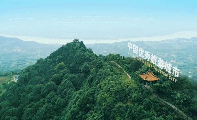 桃李春风一杯酒，江湖夜雨十年灯丨那些与泸州老窖相伴的岁月绵长