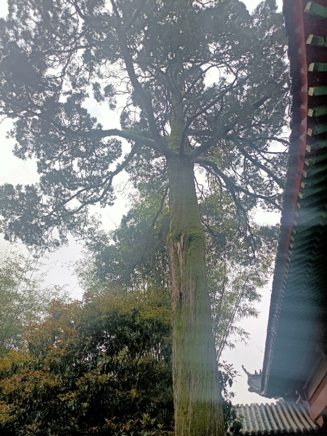 当我们受到欺负时该怎么办,当我们权益受到伤害时应该怎么办