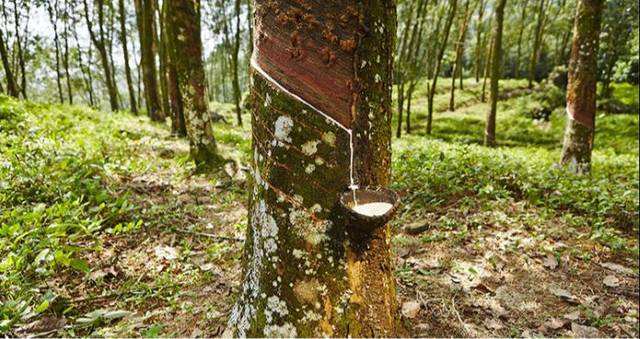 床垫买什么样的床垫好,买床垫挑毛病