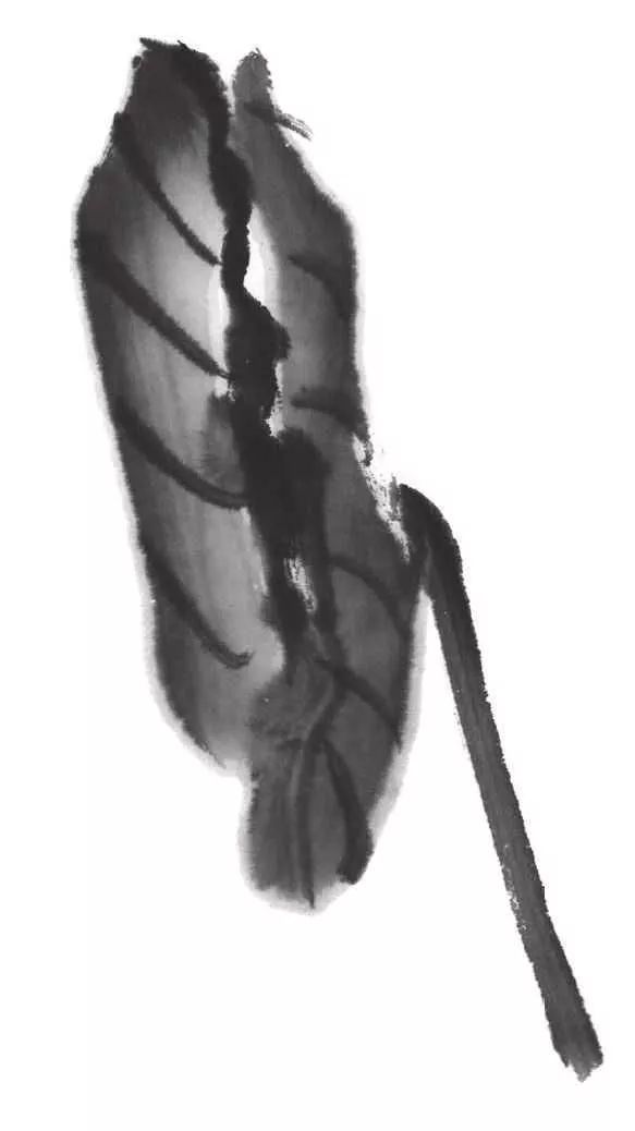 白描荷花100幅画法,荷花的画法白描图