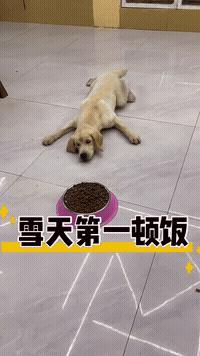 色弱戴眼镜可以通过体检吗,上海色弱怎么通过驾照体检