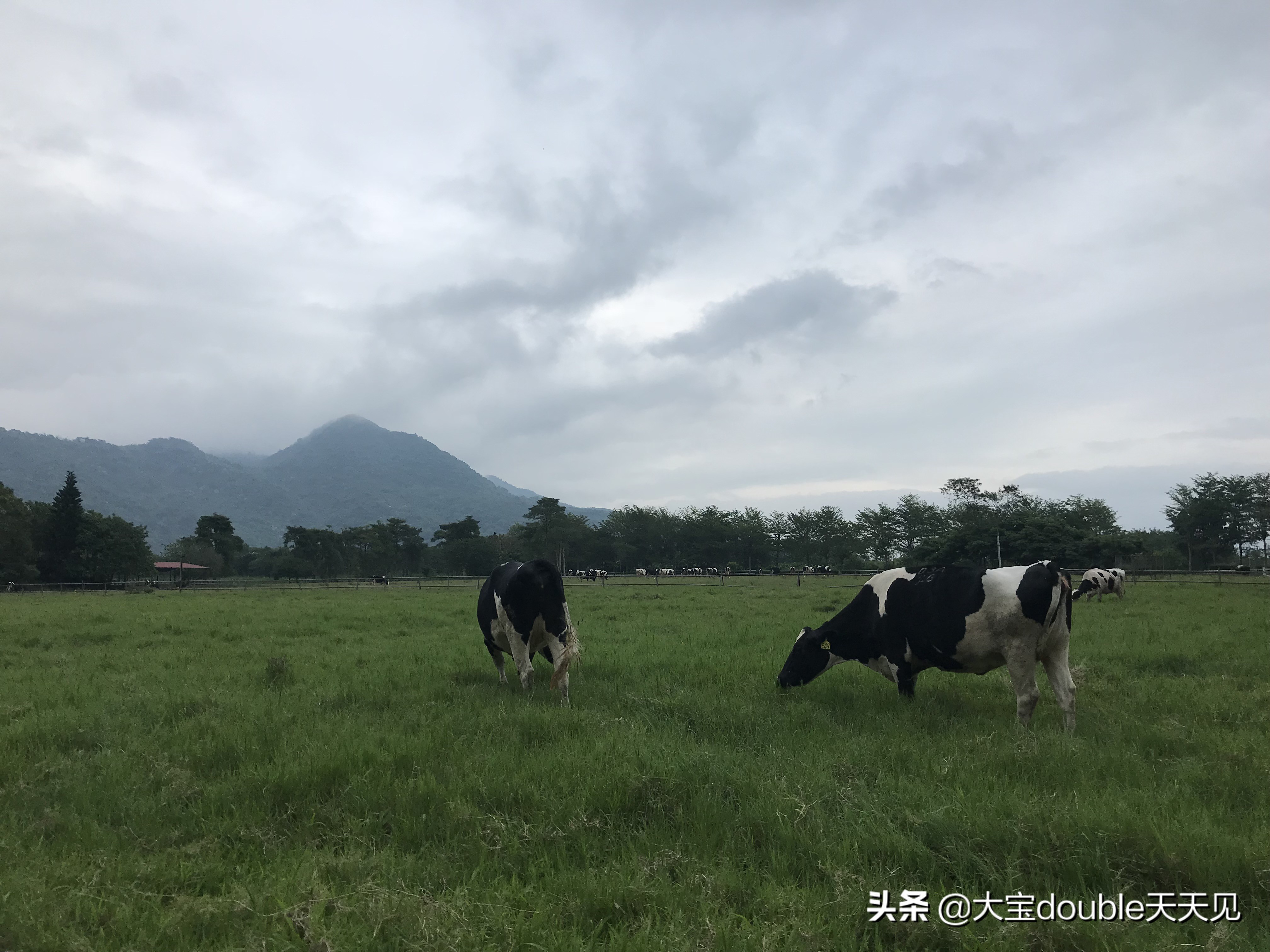 即使遇上地震，也仍让人心心念念的城市，一定要再去一次