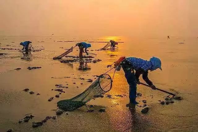 【读历史游盘锦】几许渔人飞短舟，尽载灯火归村路渤海金滩蛤蜊岗