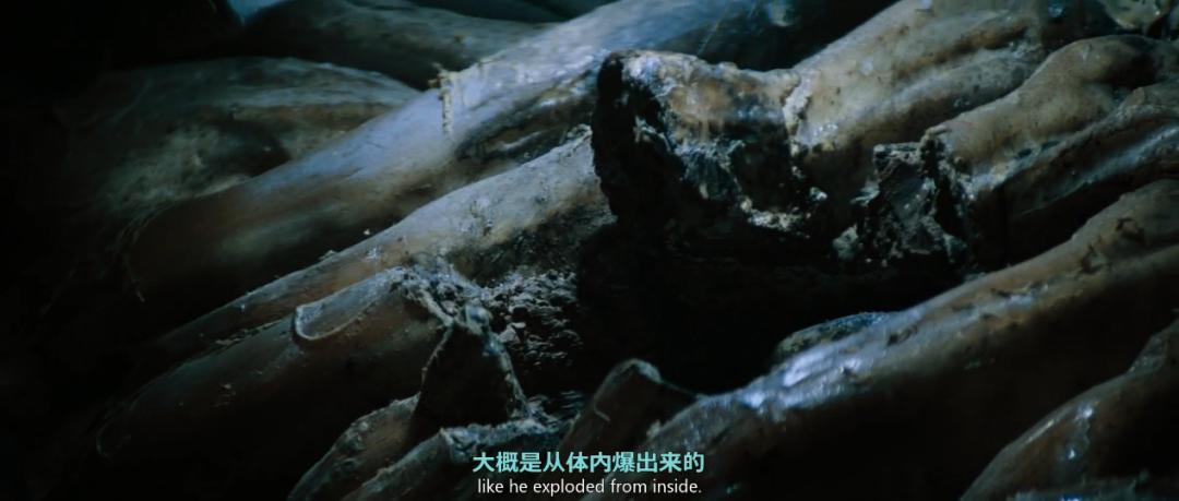 异形到底有多少种形态,异形到底存在吗